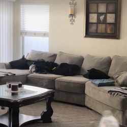 Sectional Couch  great condition $500