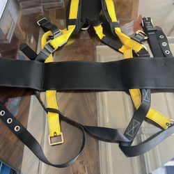Guardian Harness 