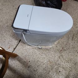 Smart Toilet 