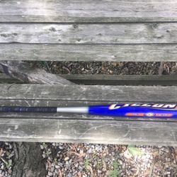 Easton Cyclone Softball Bat