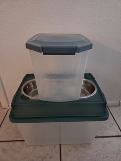 Elevated Dog Bowl Set