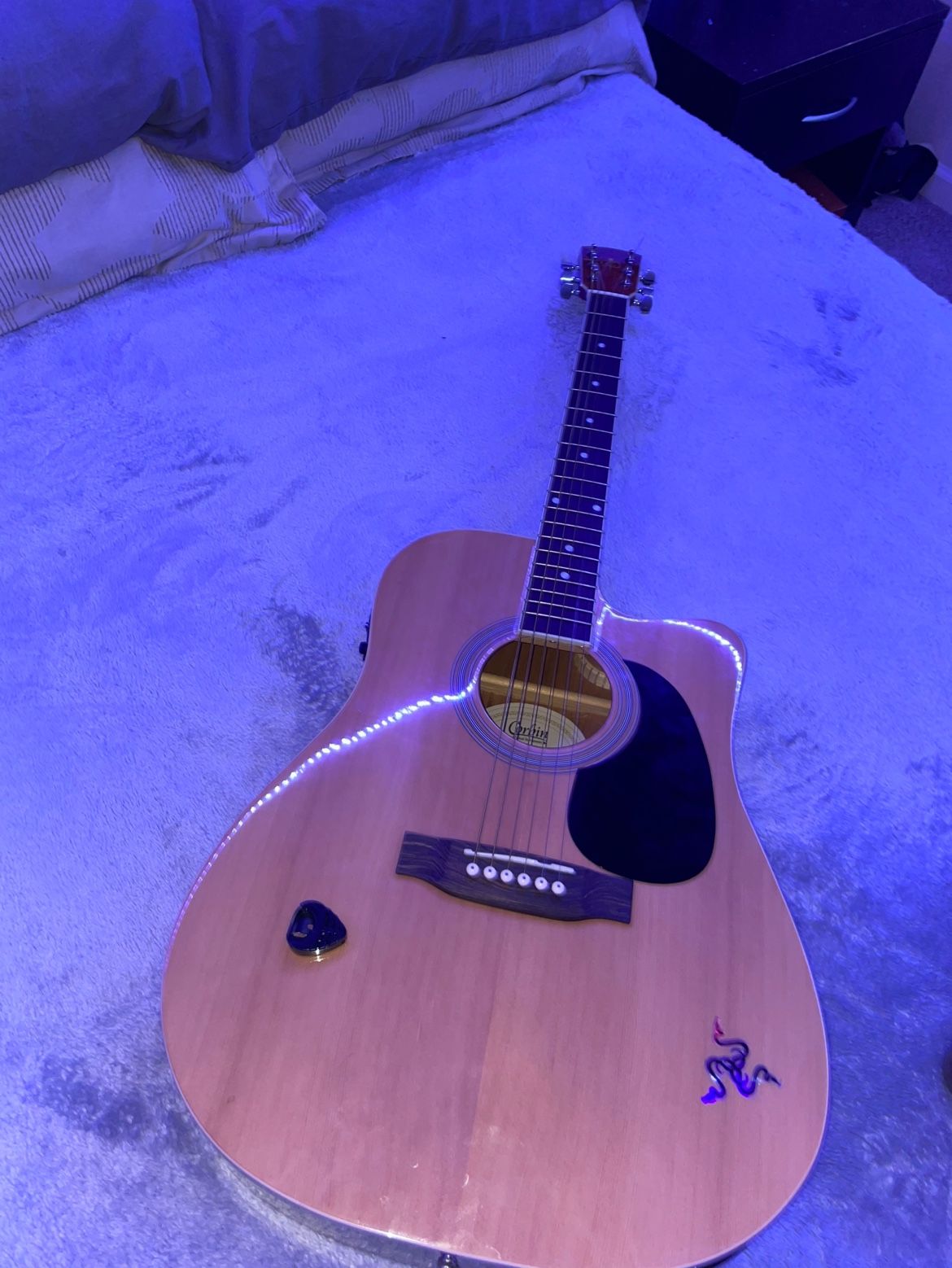 6 String Guitar