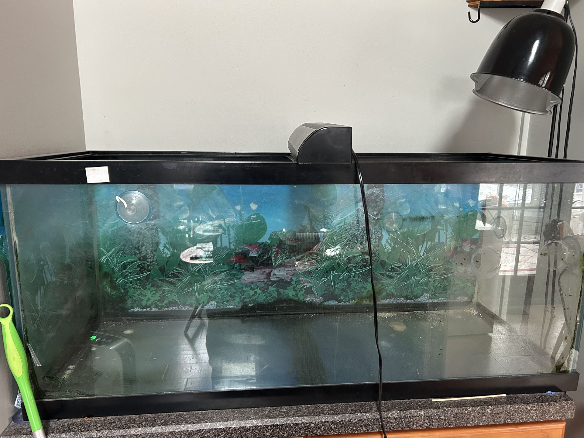 75 Gallon Fish/Turtle Tank $70 Obo