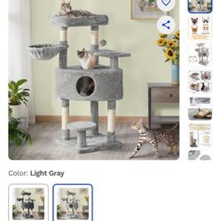 New Cat Tree 