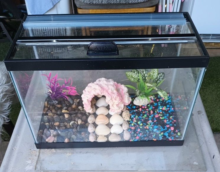 5 Gallon Fish Tank