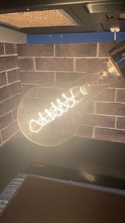 Large Edison Style Spiral Filament Light Bulb