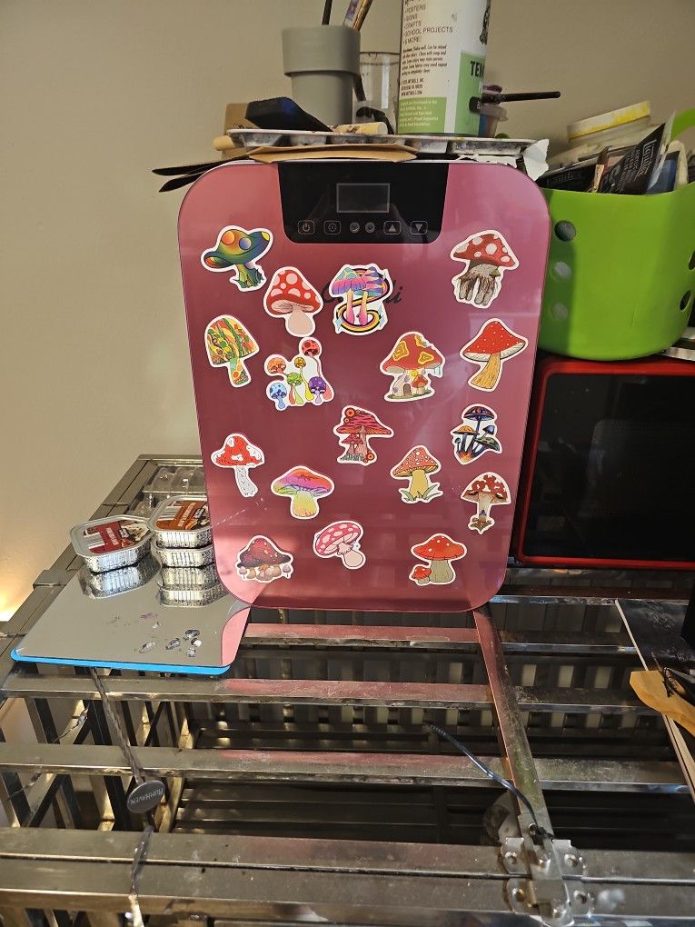 Mini Fridge