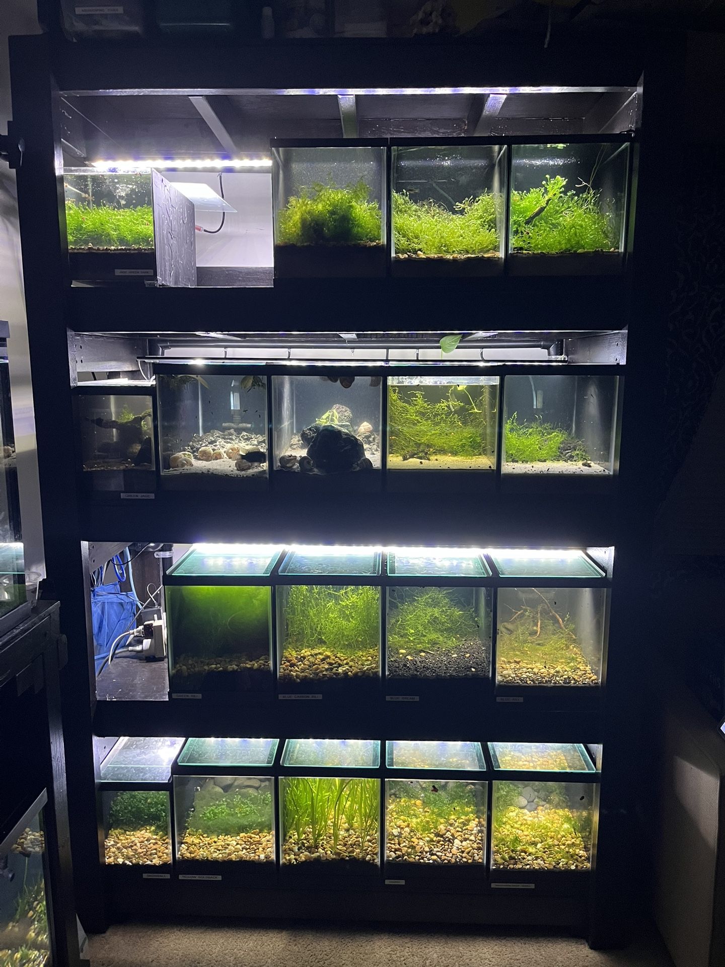 10 Gallon Wood Fish Tank Rack