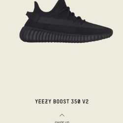 Adidas Yeezy 350 Onyx