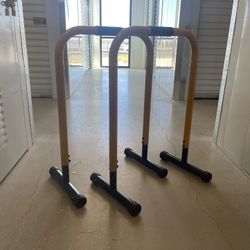 Adjustable Height Heavy Duty Dip Station