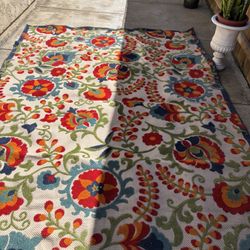Indoor/Outdoor Rug 