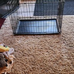 Medium Size Dog Crate 