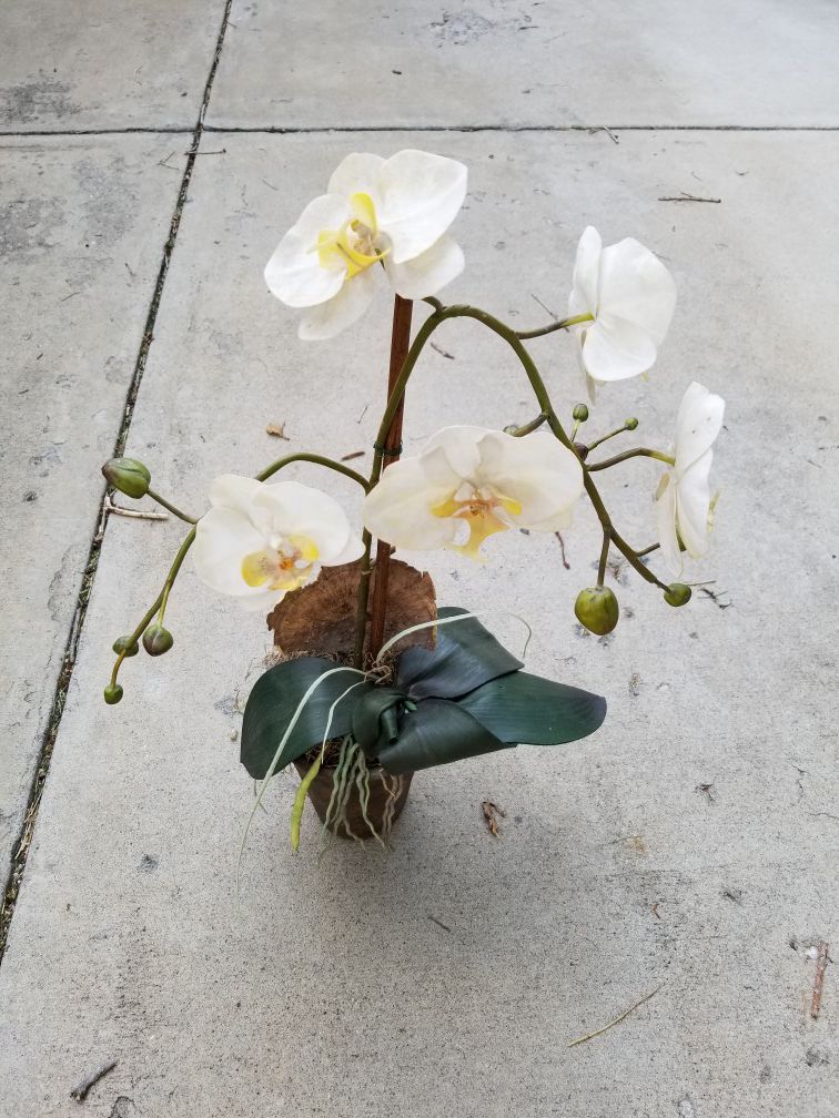 Faux/Fake Orchid. Silk Flower. Plant