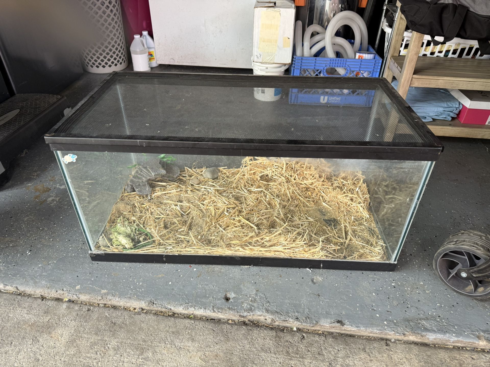Fish/Reptile Tank