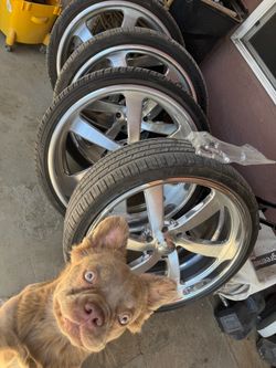 Intro wheels 24s