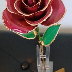 Gold Dipped Infinity Rose - Eternal Resin-Preserved Rose