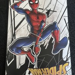 Spider Man Wall Decor