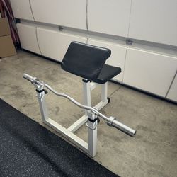 Curl Bar Bench