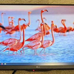 LG 27GL850 27" PC Monitor Screen