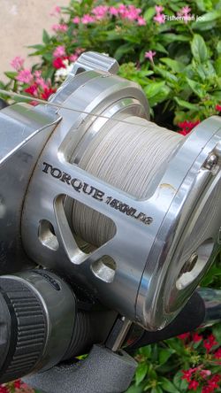 Penn Torque 15/Braid/New Daiwa Rod