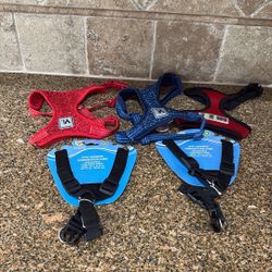 Doggy Gear 5,3small,2black M Only $7 SW area