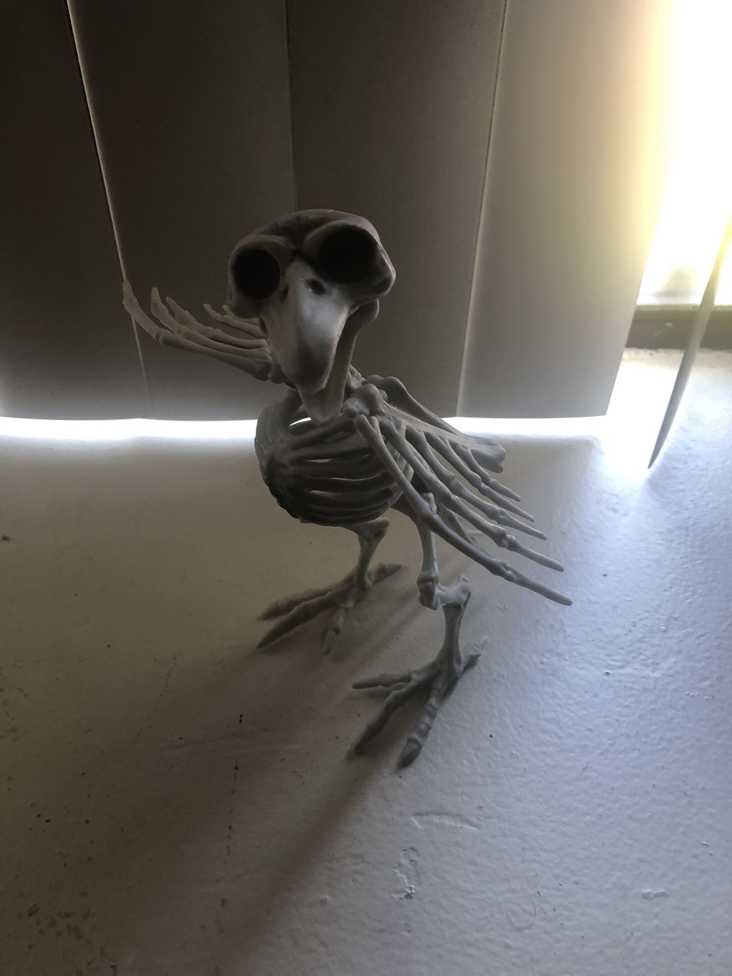Skeleton Crow Halloween Decor