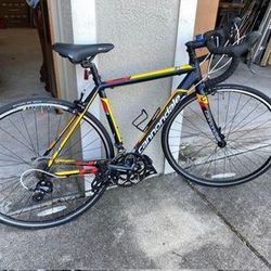 Cannondale ISO 4210 9 Speed 48 CM Thin line Technology Bicycle