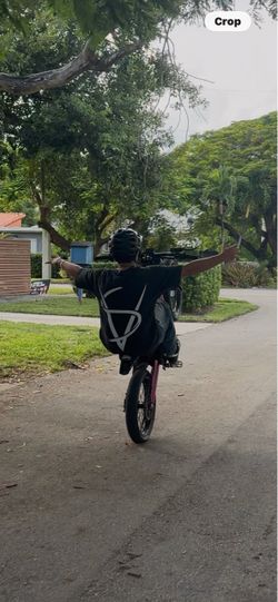 2025 built surron lbx