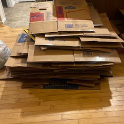 Free Moving Box’s