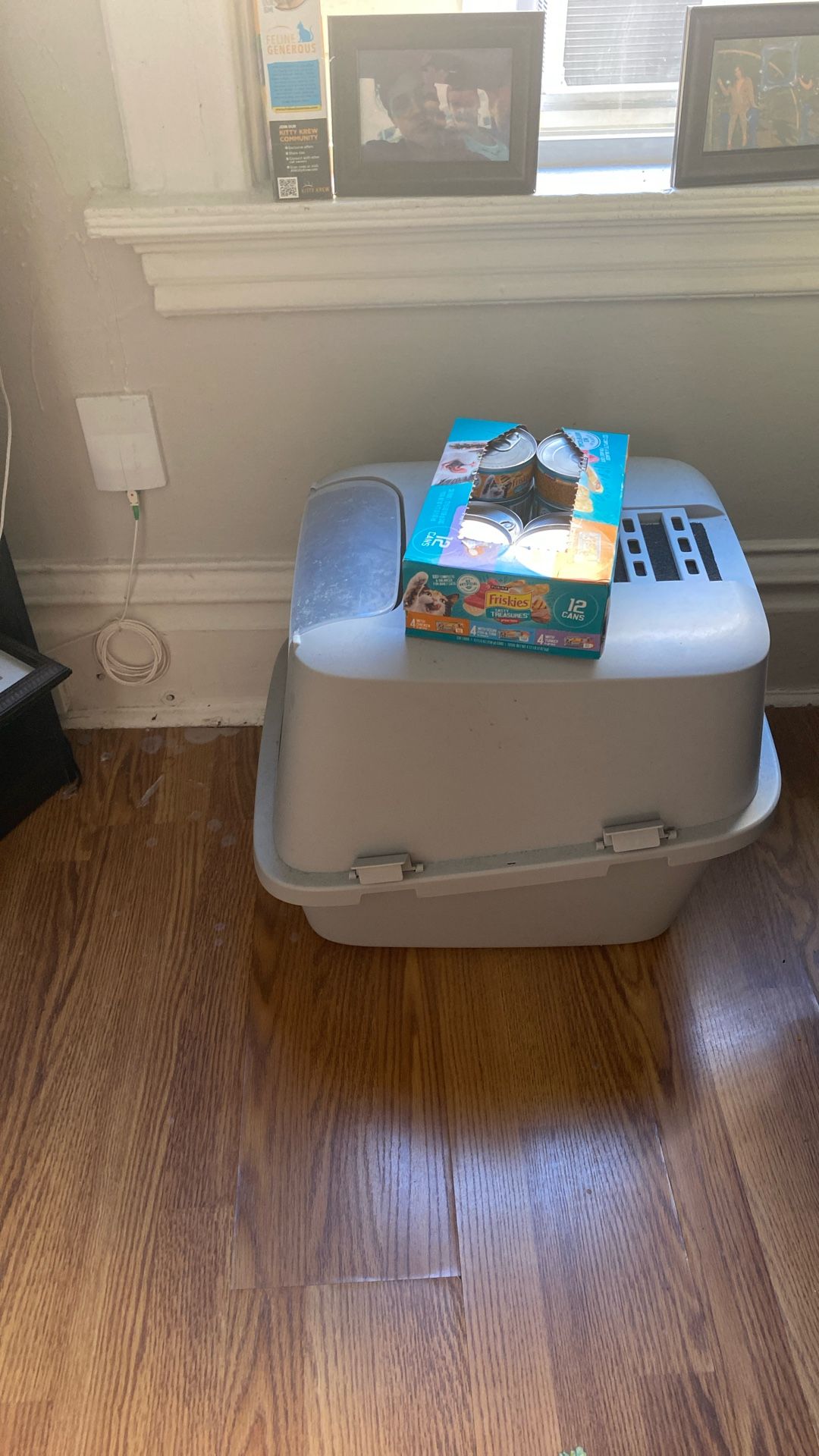 Litter Box With Top