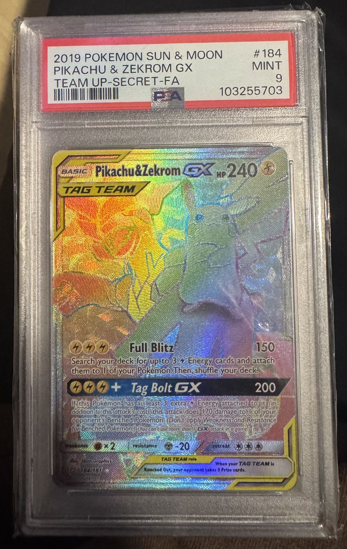 Pikachu & Zekrom 184