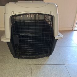 Dog Kennel 