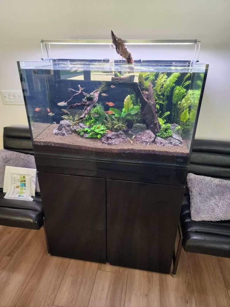 FISH TANK