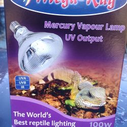 reptile lighting 
