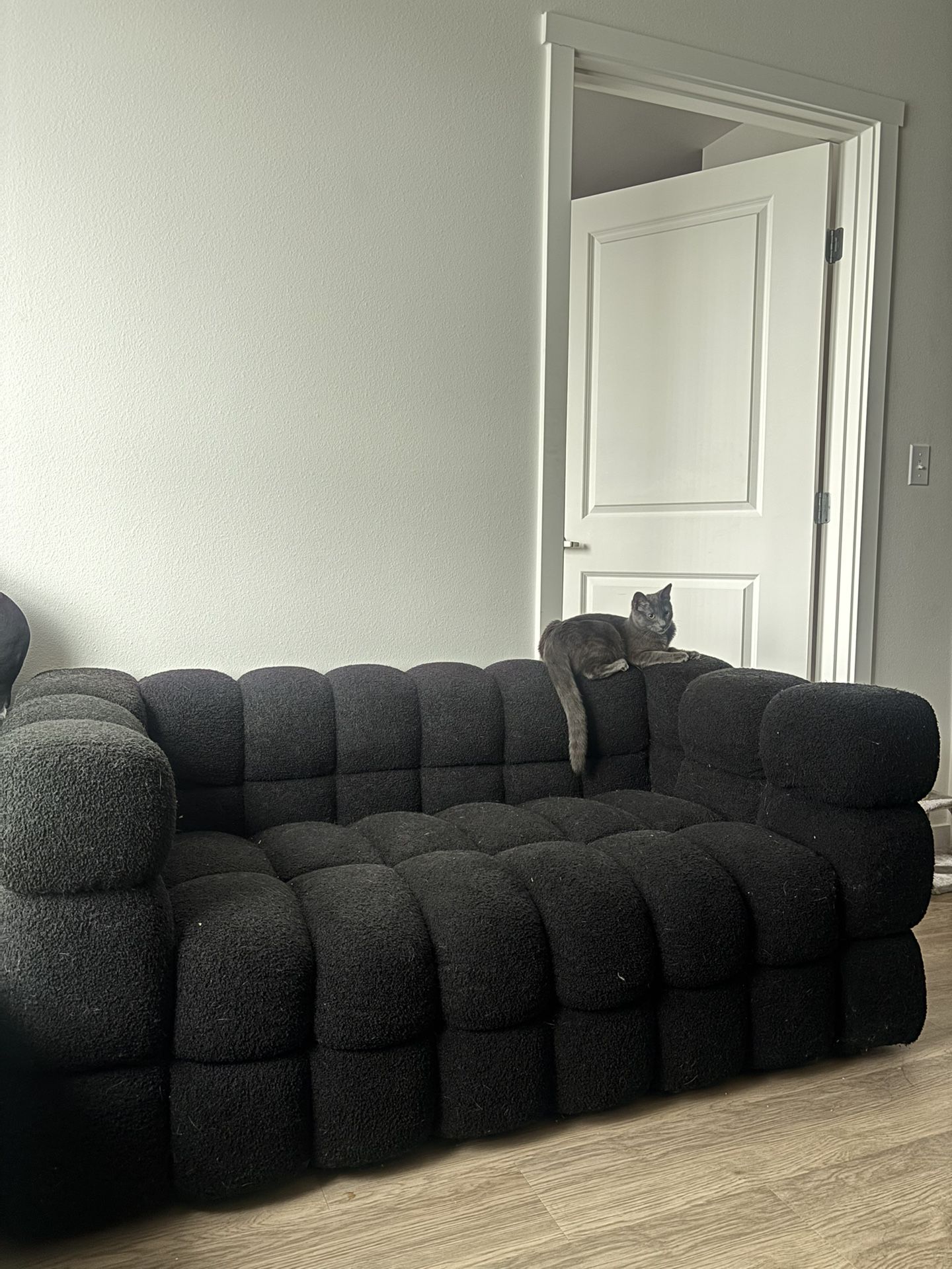 Black cloud couch 
