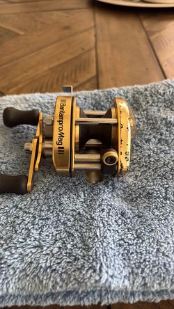 Shimano Bantam Mag 100Xsg