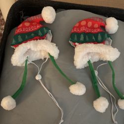 Cat Xmas Hats
