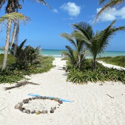 Get Back Your Photos From Old Device Memory 