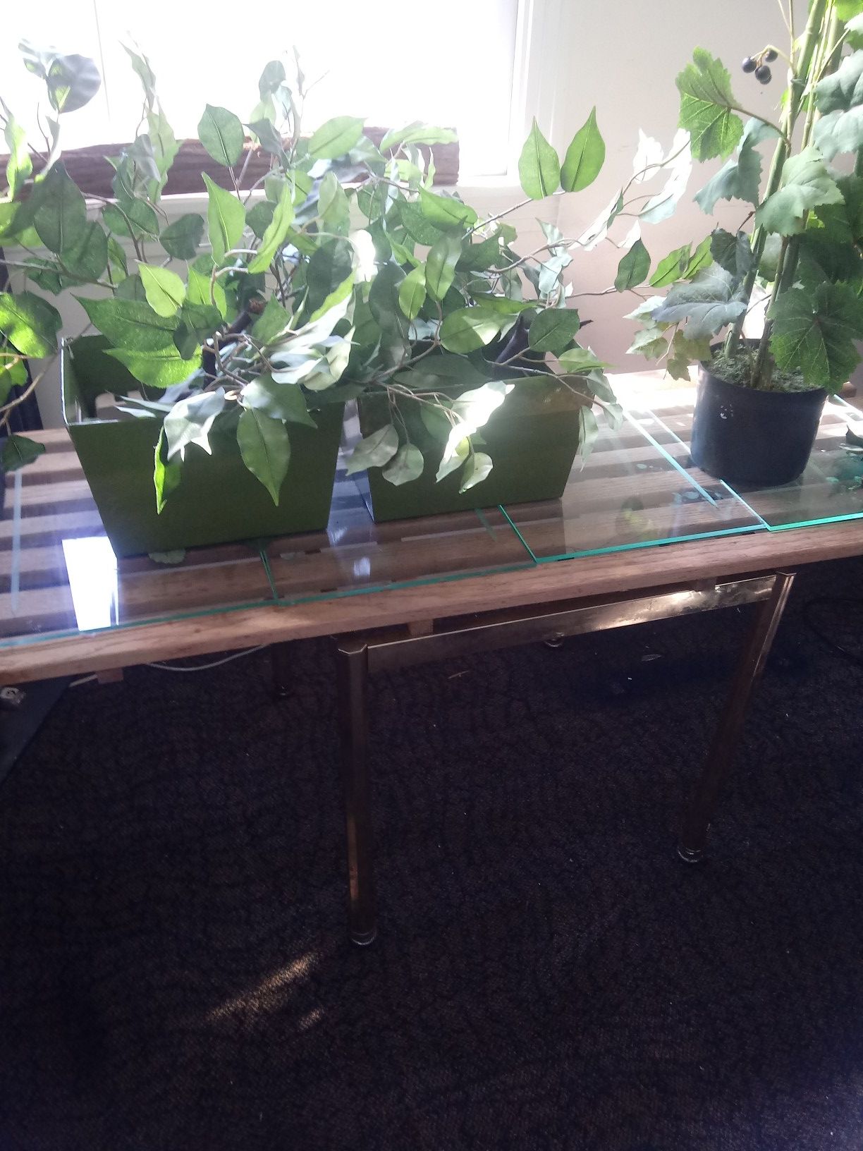 Table and all plants (artificial) $20