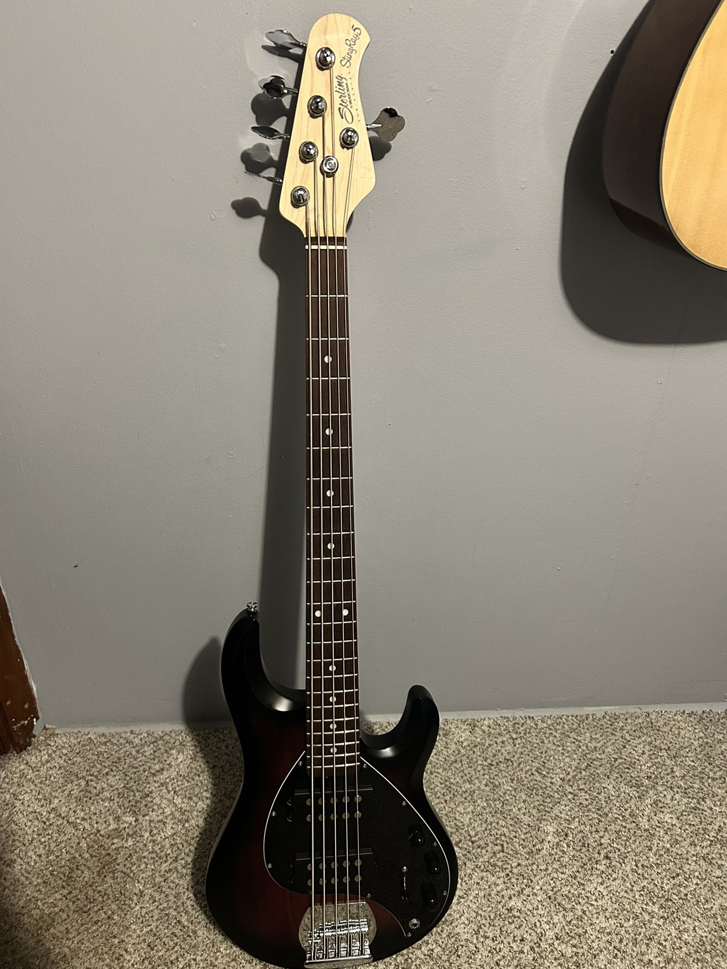 Sterling By Music Man Stingray RayHH Limited Edition 5 String Bass Guitar