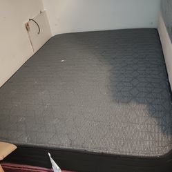 Used queen Sealy mattress and box spring