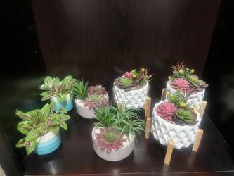 Colorful Faux Succulents