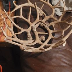 Deer Antler Bowl
