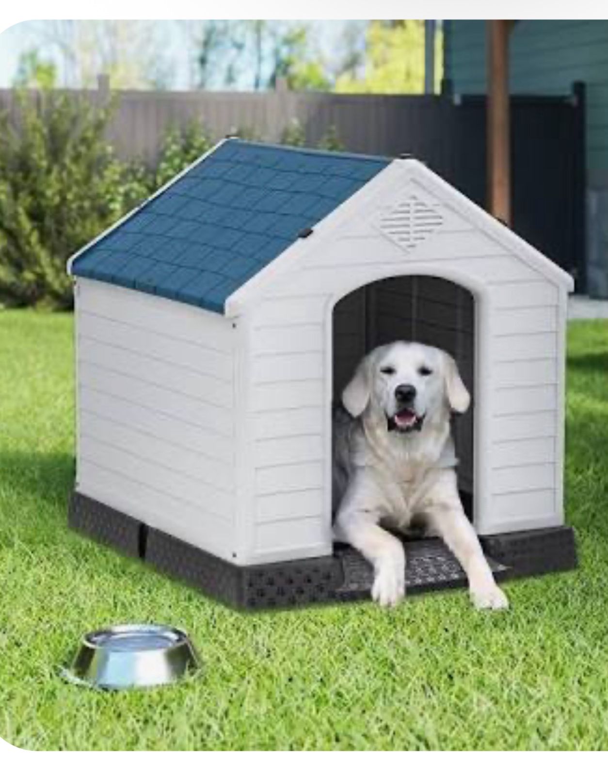 Dog House