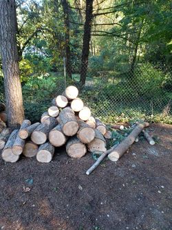 Wet fresh cut fur trees , "LOCATION GRAHAM WA" ... READ FULL AD