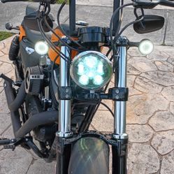 2021 Harley Davidson Sportster For Sale 