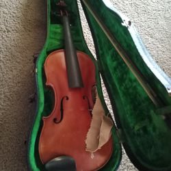 Violin