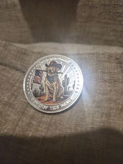 Big dog and puppies commemorative coin