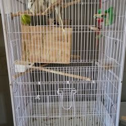 Bird Cage