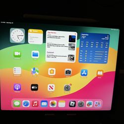Ipad Pro Fourth Generation 128 GB